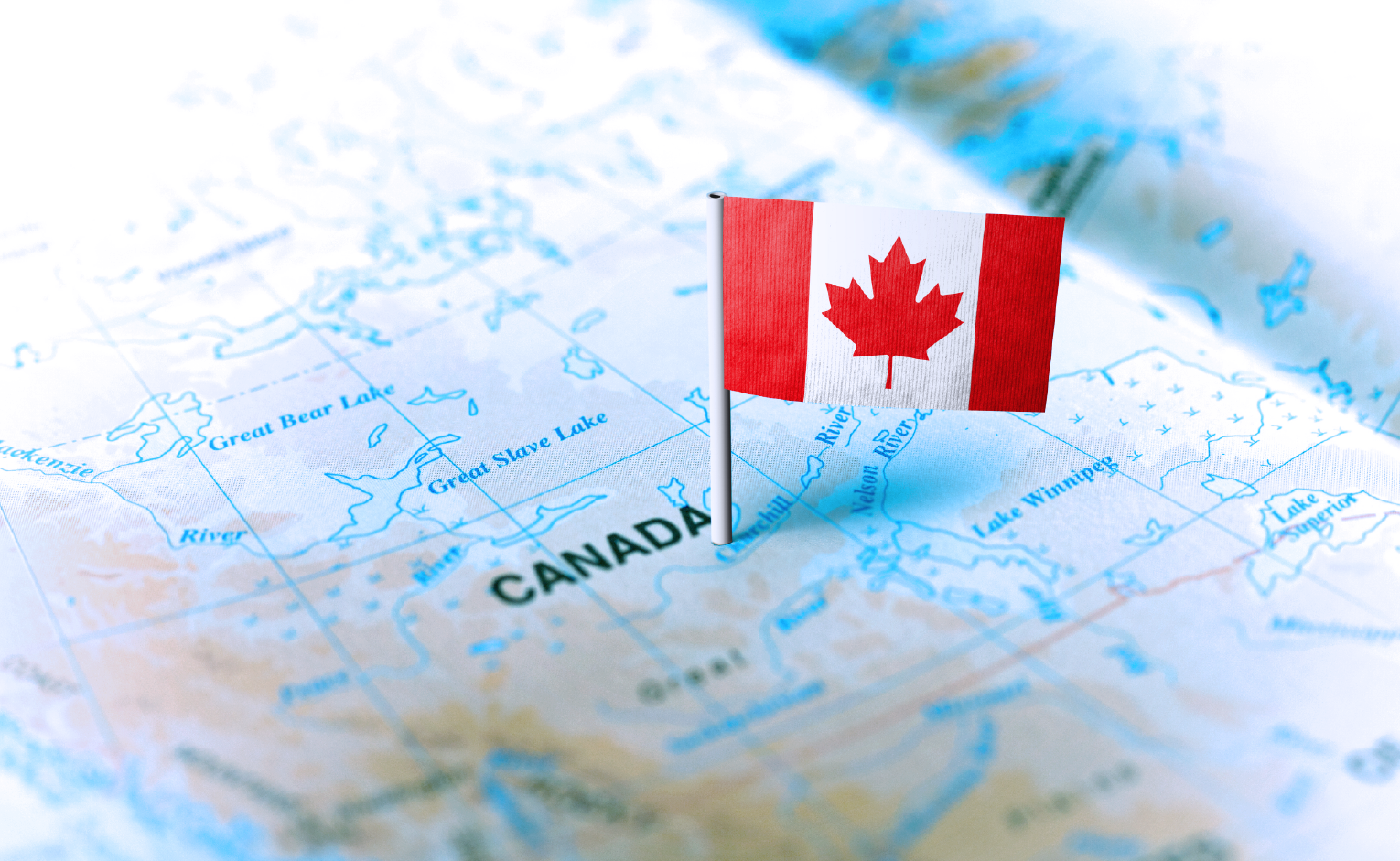 Use targeted text message marketing and loyalty to reach Canadian customers