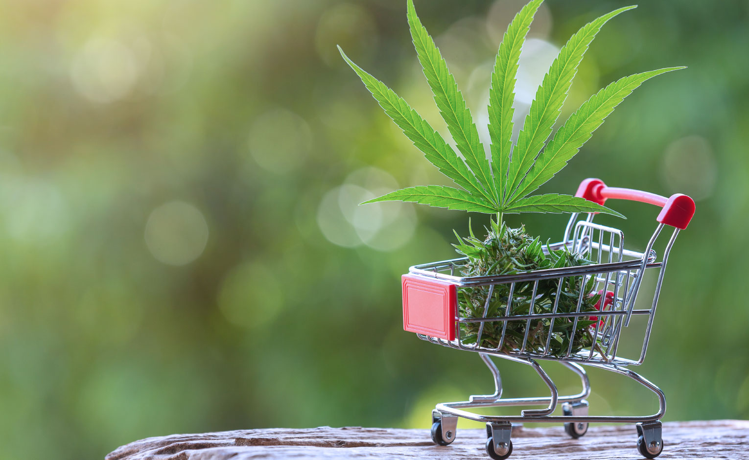 boost dispensary sales with automated loyalty programs