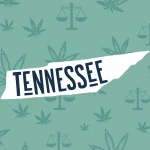 Understanding Tennessee Cannabis Laws: A Comprehensive Guide
