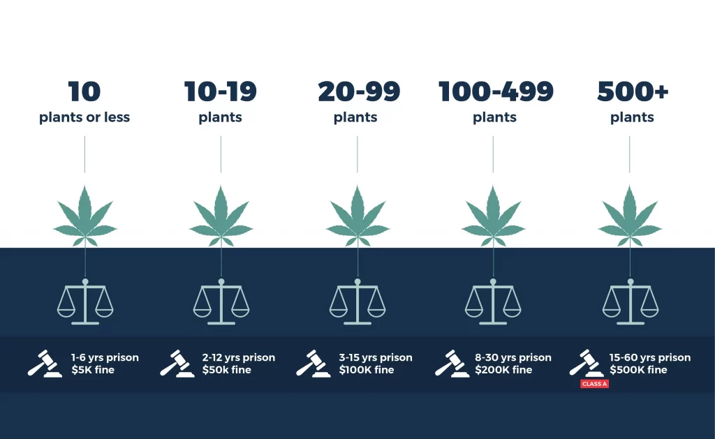 marijuana law in tennessee