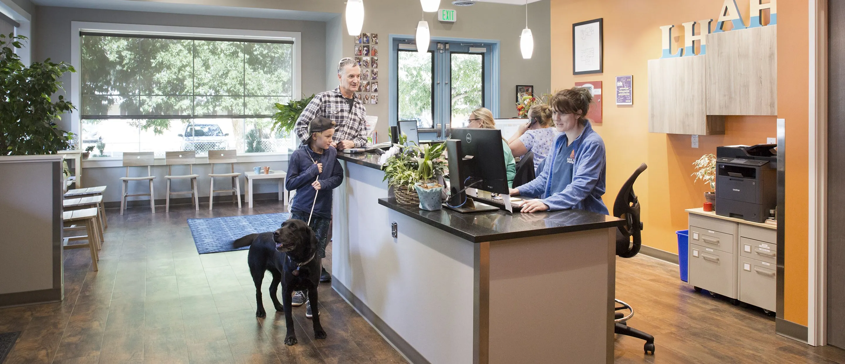 Veterinary clinic reception
